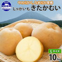 北海道産 じゃがいも きたかむい Lサイズ 10kg 馬鈴薯 キタカムイ ジャガイモ ポテト 芋 いも 旬 イモ 野菜 農作物 産地直送 産直 常温 北海道 お取り寄せ 送料無料 倶知安町　　お届け：2024年11月上旬～12月上旬