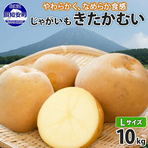 【ふるさと納税】北海道産 じゃがいも きたかむい Lサイズ 10kg 馬鈴薯 キタカムイ ジャガイモ ポテト 芋 いも 旬 イモ 野菜 農作物 産地直送 産直 常温 北海道 お取り寄せ 送料無料 倶知安町　【 羊蹄山 健康 肉じゃが 】　お届け：2024年11月上旬～12月上旬