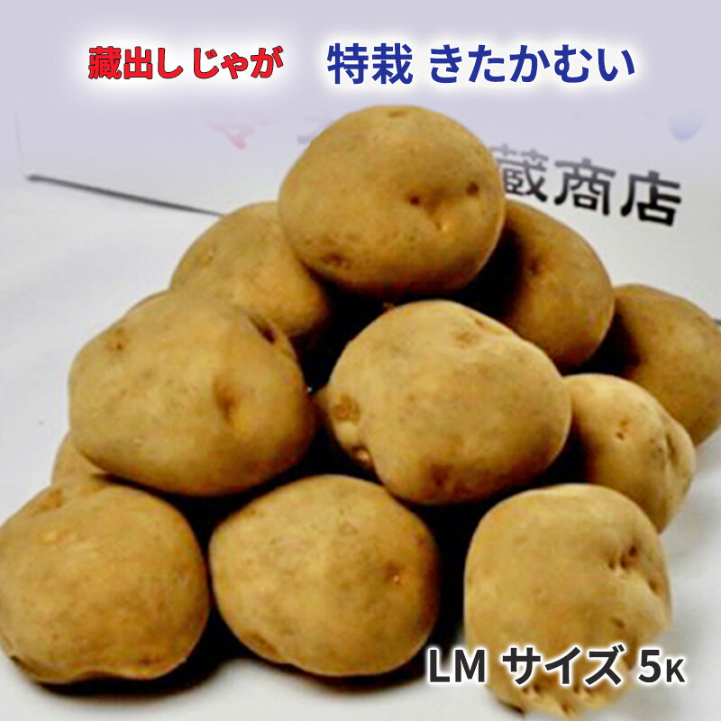 【ふるさと納税】藏出 倶知安じゃが 令和5年 倶知安産 特栽 きたかむい LM 5kg D/B 特別栽培 じゃがいも 越冬　 野菜 北海道野菜 北海道産 北海道産じゃがいも 　お届け：2024年2月初旬～2024年3月末日までのサムネイル