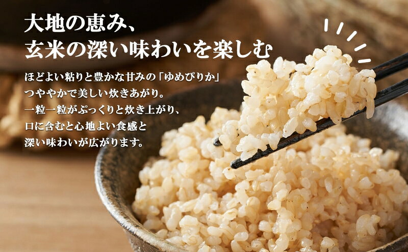 【ふるさと納税】定期便 5ヵ月連続5回 北海道産 ゆめぴりか 玄米 6kg 米 特A 獲得 ...