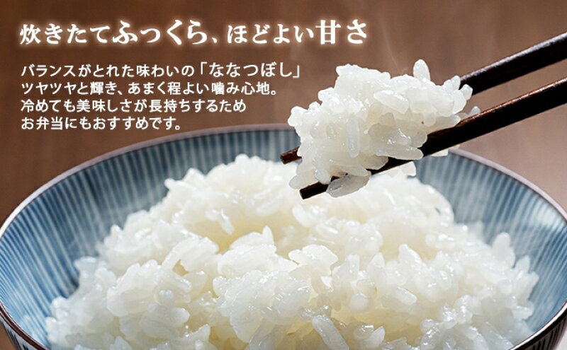 【ふるさと納税】定期便 隔月3回 北海道産 ななつぼし 精米 15kg 米 特A 白米 お取り寄せ ごはん 15キロ 5kg ×3袋 道産米 ブランド米 まとめ買い お米 ようてい農業協同組合 ホクレン 送料無料 北海道 倶知安町 f014001-kutchan-10001167 北海道倶知安町 サンプル画像2