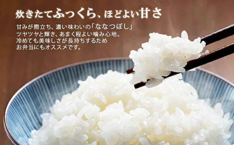 【ふるさと納税】定期便 3ヵ月連続3回 北海道産 ななつぼし 無洗米 15kg 米 特A 白米 ごはん 道産米 ブランド米 15キロ 5kg ×3袋 まとめ買い お米 北海道前 グルメ お取り寄せ ようてい農業協同組合 ホクレン 送料無料 北海道 倶知安町 f014001-kutchan-10001184 北海道倶知安町 サンプル画像2