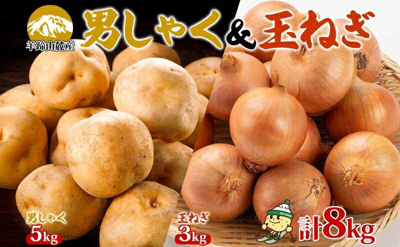 【ふるさと納税】北海道産じゃがいも 男爵 5kg 玉ねぎ 3kg Lサイズ 計約8kg ジャガイモ 男爵いも 馬鈴薯 ポテトタマネギ 玉葱 常備野菜 根菜 産直 国産 JAようてい 送料無料 北海道 倶知安町 俱知安町 　お届け：2025年11月中旬～12月下旬