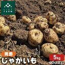 【ふるさと納税】北海道 倶知安 じゃがいも 男爵 5kg リストファーム サイズ 混合 馬鈴薯 芋 ポテト イモ 産地直送 野菜 お届け:2025年9月中旬~10月中旬