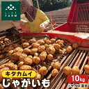 【ふるさと納税】北海道 倶知安 じゃがいも キタカムイ 10kg リストファーム サイズ 混合 馬鈴薯 芋 ポテト イモ 産地直送 野菜 お届け:2025年9月中旬~10月中旬