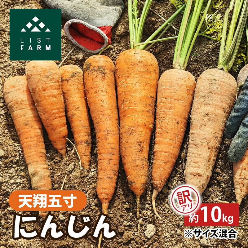 【ふるさと納税】【 訳アリ 】 人参 約 10kg 9月 収穫 予定 リストファーム サイズ 混合 天翔五寸 にんじん 産地直送 野菜　お届け：2025年9月上旬～中旬頃までのサムネイル