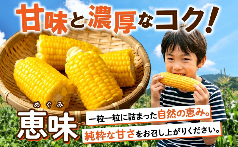 【ふるさと納税】先行予約【2027年】北海道産 2Lサイズ 朝もぎ イエロー とうもろ...