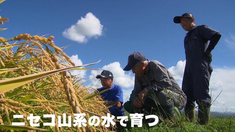【ふるさと納税】《新米予約》令和8年産 定期便 9ヵ月連続お届け「共和町米生産友の会」ゆめぴりか・ななつぼし 食べ比べ 各5kg 計10kg 北海道 共和町 お米 白米 ご飯 ライス 一粒の想い ※沖縄・離島への配送不可 【2026年11月より順次発送予定】 f014010-kyowa-10000276 北海道共和町 サンプル画像3