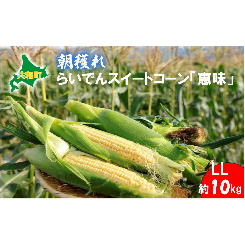 楽天ふるさと納税　【ふるさと納税】とうもろこし らいでん スイートコーン 恵味 LL規格 約10kg 北海道　【 トウモロコシ コーン 野菜 産地直送 旬の野菜 新鮮野菜 北海道産 】　お届け：2024年7月下旬～8月上旬迄