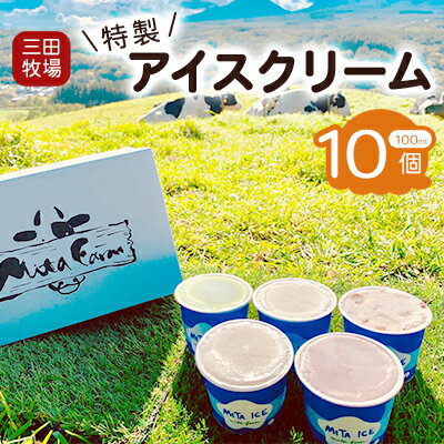 アイス 三田牧場 特製 アイスクリーム 10個 セット ミルク チョコレート いちごミルク ラムレーズン 抹茶 お菓子 [ スイーツ 菓子 詰め合わせ ]