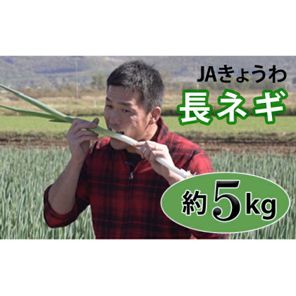 JAきょうわ らいでん長ねぎ 約5kg　【野菜・ねぎ】　お届け：2024年10月上旬～11月上旬まで