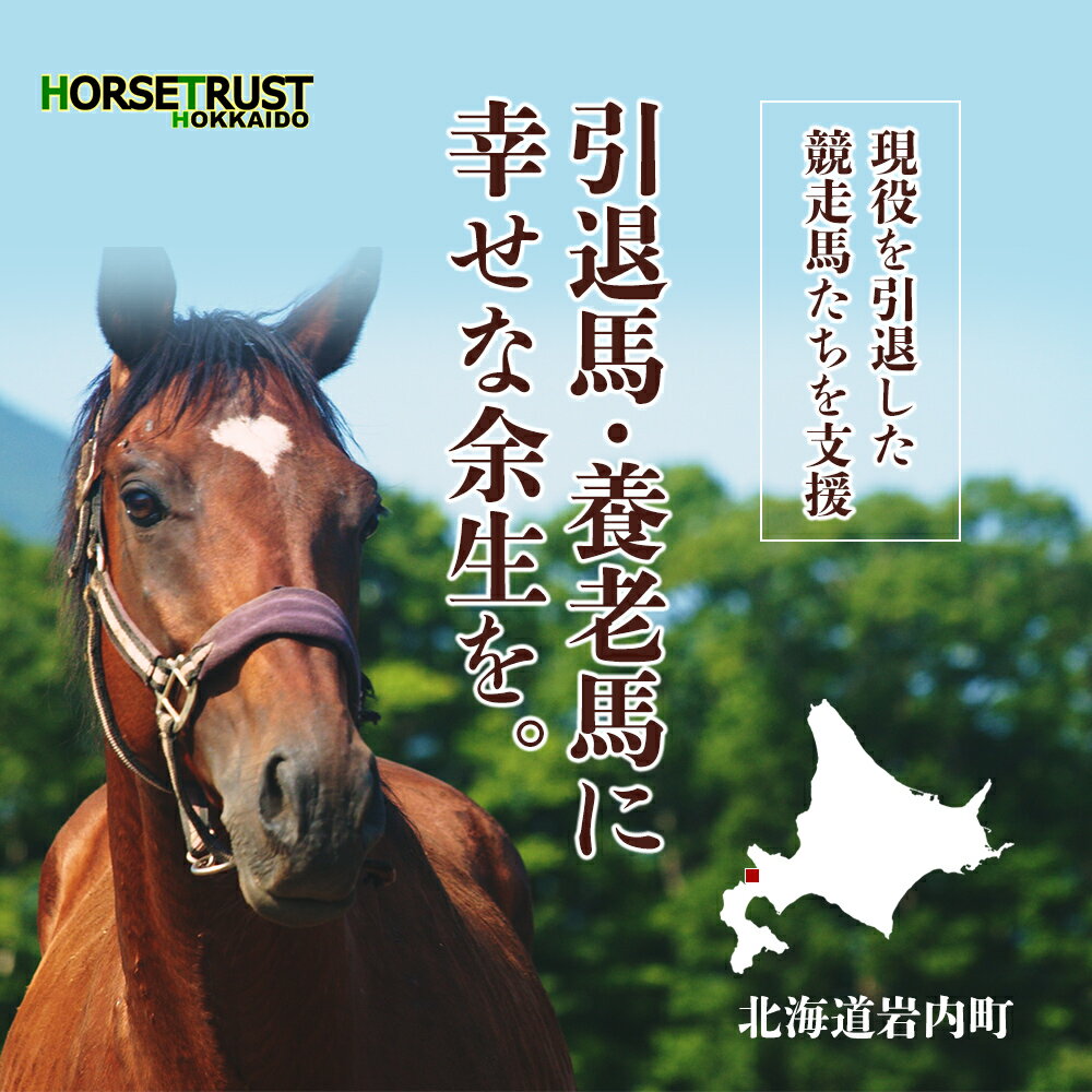 [選べる寄附額]馬支援 競走馬 引退後 余生支援 養老馬 牧場 動物愛護 北海道 ホーストラスト北海道 支援 競馬 (返礼品なし) F21H-556var