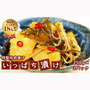 【ふるさと納税】北海道岩内町 特製松前漬け「いっぱち漬け」 250g×3パック F21H-491