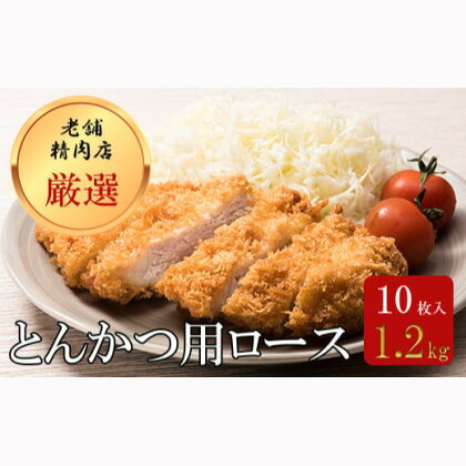 北海道 岩内町 北海道産 豚肉 とんかつ用 ロース 1.2kg(120g×10枚) F21H-429