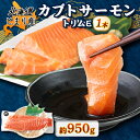 【ふるさと納税】北海道とまりカブトサーモン トリムE1本【配送不可地域:離島】【1325157】