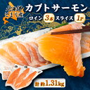 【ふるさと納税】北海道とまりカブトサーモン ロイン3本・スライス200gセット【配送不可地域:離島】【1325167】