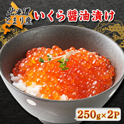 【ふるさと納税】北海道とまり産　いくら醤油漬け　250g×2パック【配送不可地域：離島】【13531...