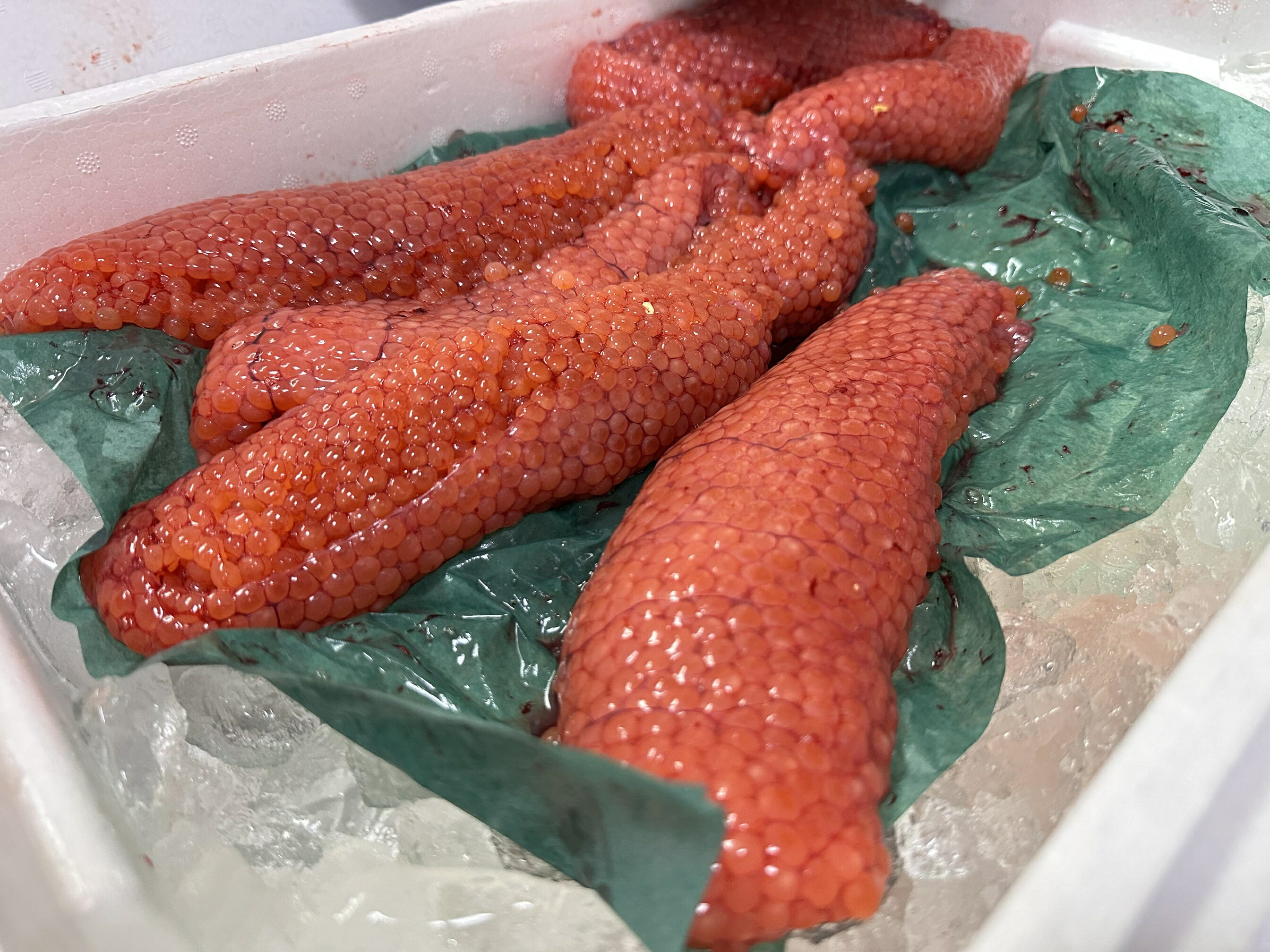 北海道神恵内村の画像2