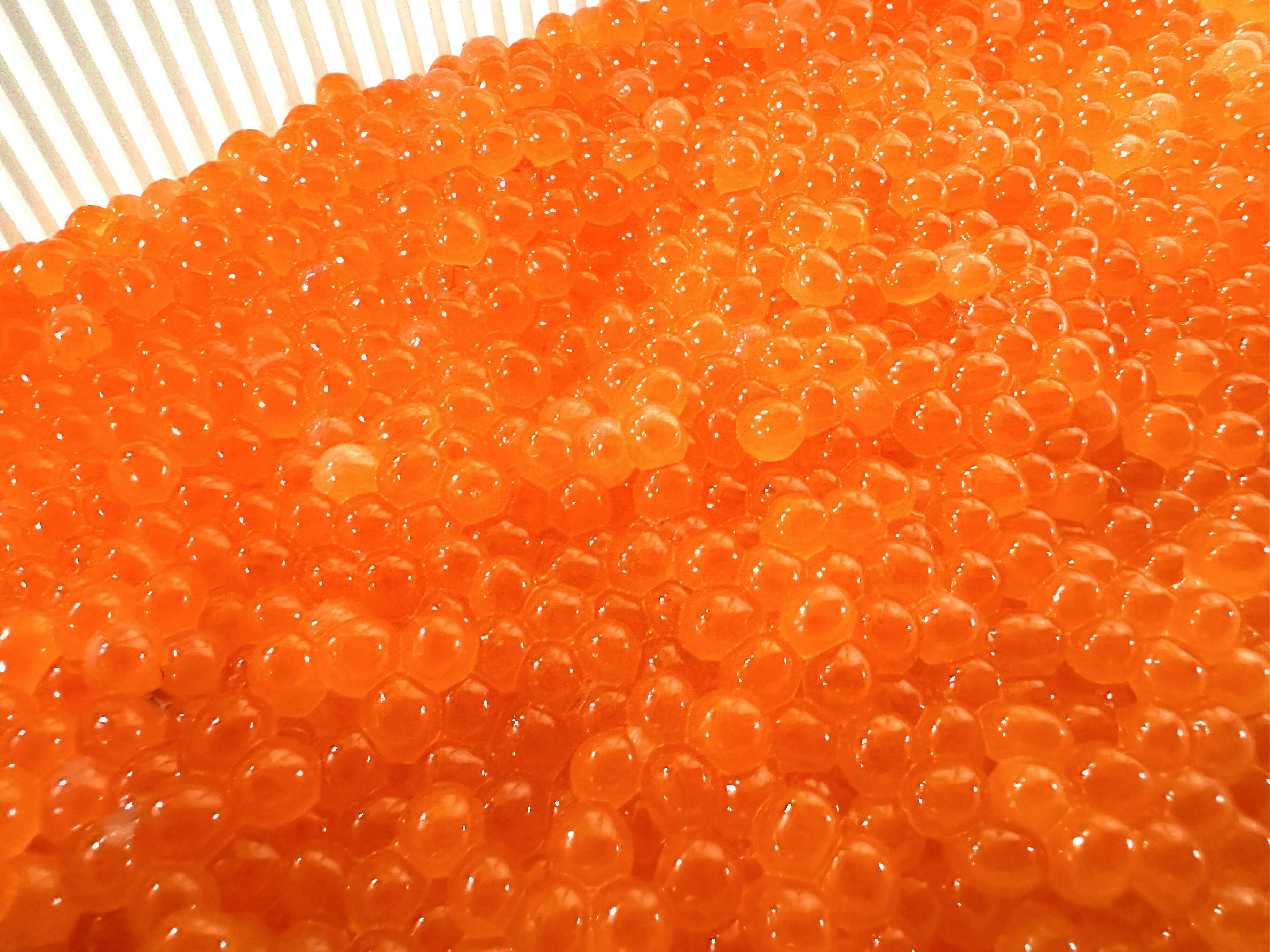 北海道神恵内村の画像3