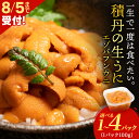 【ふるさと納税】【2025年夏発送分】バフンウニ 選べる1パック~4パック 1パック100g 大川商店北海道ふるさと納税 積丹町 ふるさと納税 海鮮 北海道 エゾバフンウニ 塩水 ばふんうに 海鮮 うに 生うに 北海道 うに 雲丹 通販 ギフト ウニ うに 2025年