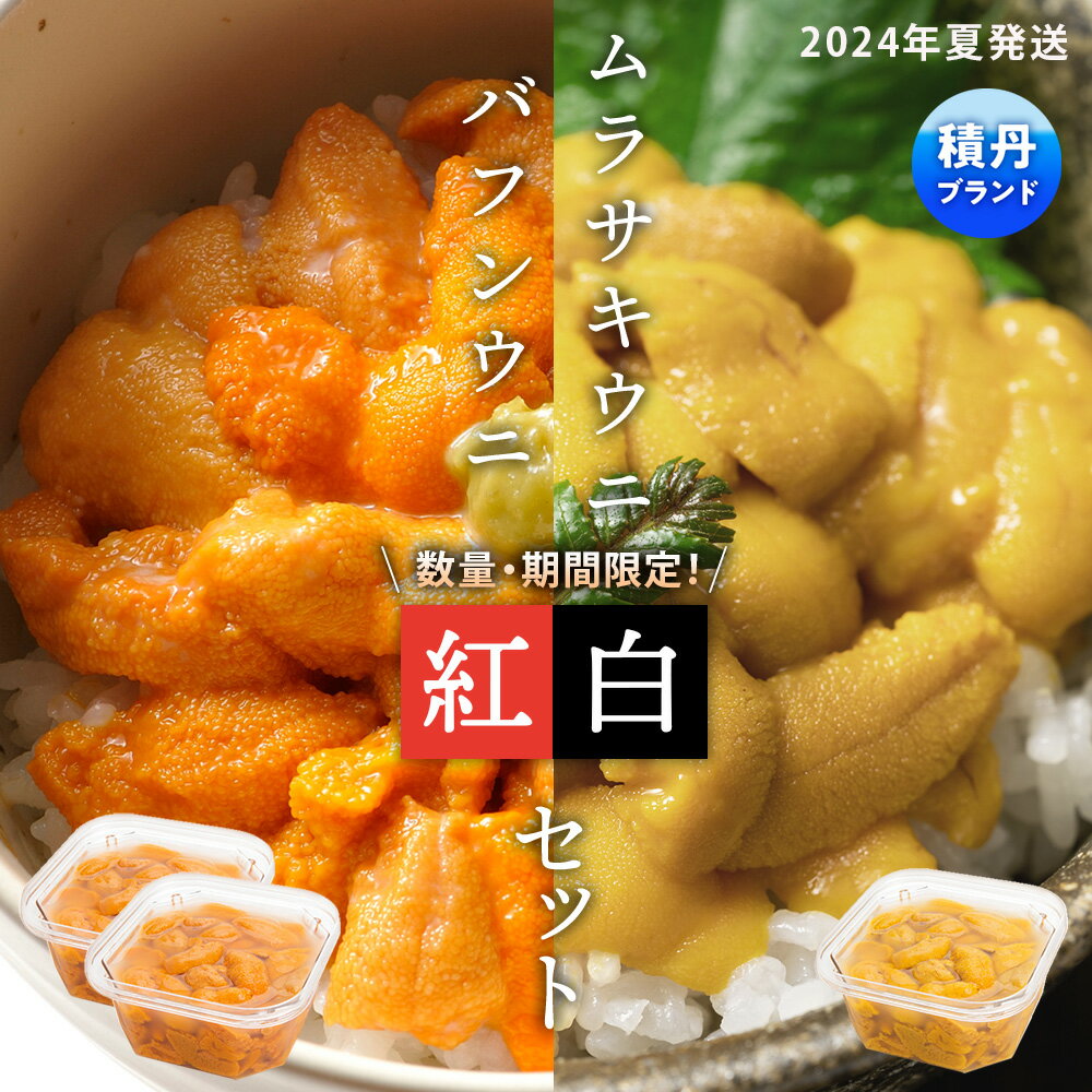 【ふるさと納税】【2024年夏発送分】バフンウニ2パック・ムラサキウニ1パック 大川商店北海道ふるさと納税 積丹町 ふるさと納税 海鮮 北海道 キタムラサキウニ エゾバフンウニ セット 海鮮 塩水 うに 生うに 北海道 うに 雲丹 通販 ギフト ウニ 贈答品 贈り物のサムネイル