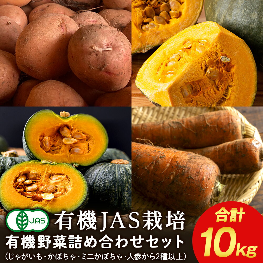 【ふるさと納税】【2025年秋発送】 秋の 有機野菜 セット 10kg 《 たかのふぁーむ 》 ジャガイモ いも カボチャ にんじん 人参 野菜 有機 北海道 積丹 北海道ふるさと納税 積丹町 ふるさと納税 北海道 野菜 有機野菜 無農薬 オーガニック 通販 ギフト 贈答品 贈り物