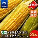 【ふるさと納税】【2025年夏発送】たかのふぁーむ 有機 トウモロコシ ☆25本☆ とうもろこし とうきび 野菜 千歳 北海道北海道ふるさと納税 積丹町 ふるさ...