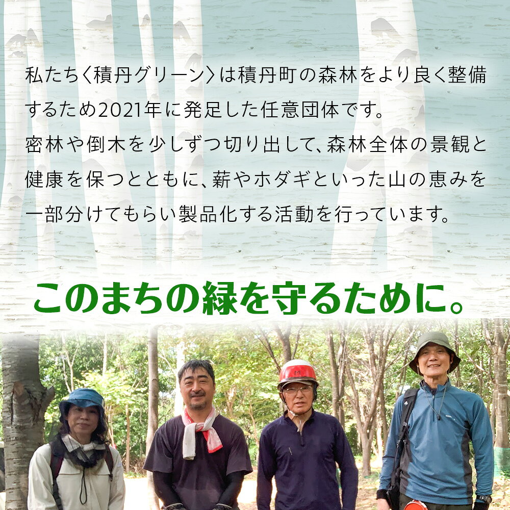 【ふるさと納税】白樺モビール ×1北海道ふるさと納税 積丹町 ふるさと納税 雑貨 日用品 インテリア 木製 白樺 民芸品 オーナメント 彫刻 知育玩具