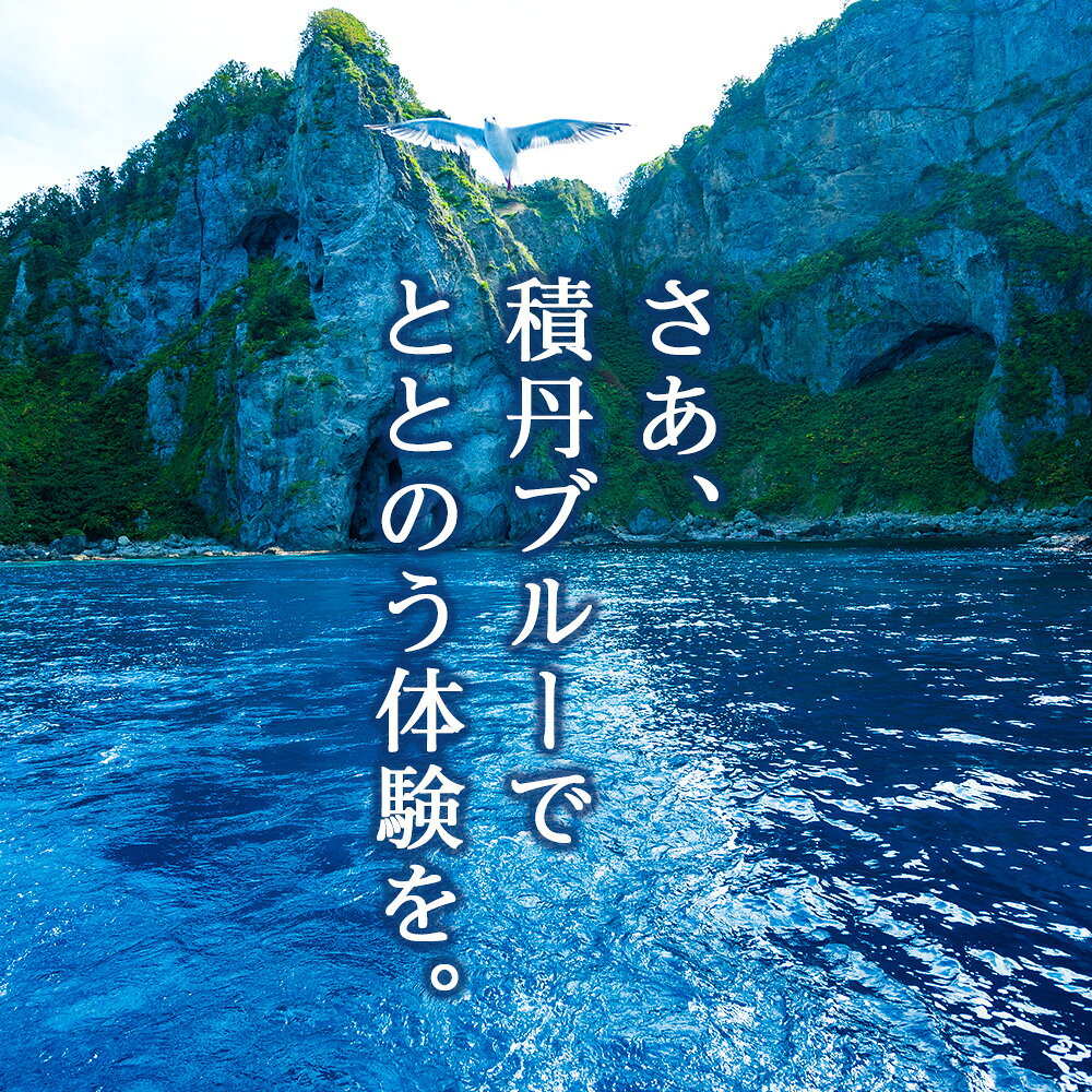 【ふるさと納税】利用券 積丹町 体験 サウナ テント 海 水風呂 4人用テント施設利用 サウナ 屋外 テント 北海道ふるさと納税 積丹町 ふるさと納税 f014052-shakotan-10000359 北海道積丹町 サンプル画像2