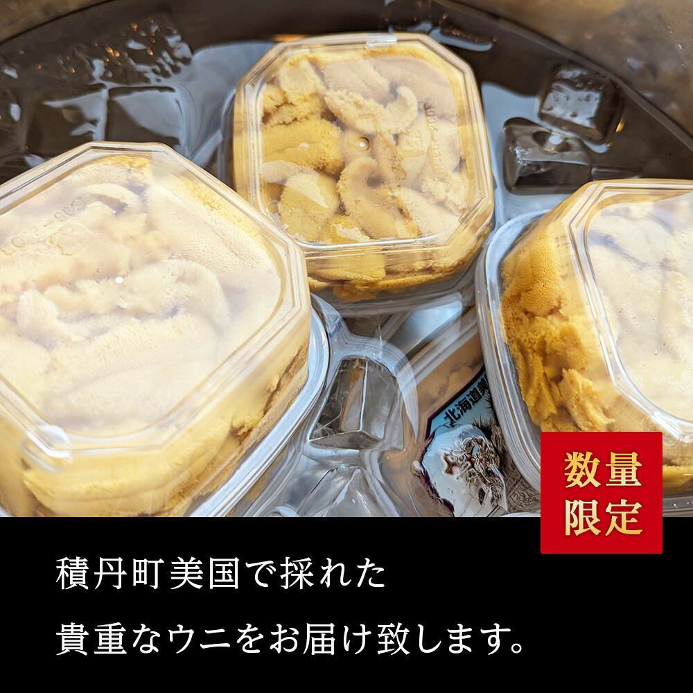 【ふるさと納税】予約開始【期間限定】美国産雲丹40g ミニウニ丼サイズ 北海道 ウニ うに北海道ふるさと納税 積丹町 ふるさと納税 海鮮 北海道 塩水 海鮮 うに 生うに 北海道 うに 雲丹 通販 ギフト ウニ 贈答品 贈り物