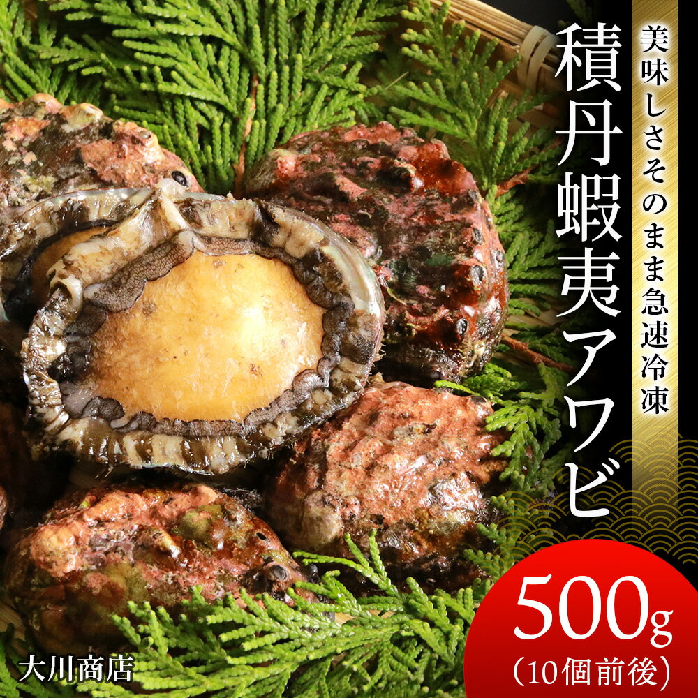 【ふるさと納税】 ☆美味しさそのまま急速冷凍！☆積丹蝦夷アワビ500g＜大川商店＞北海道ふるさと納税 積丹町 ふるさと納税 海鮮 北海道 蝦夷 鮑 あわび アワビ 天然 冷凍 刺身 高級海鮮 海鮮 おせち