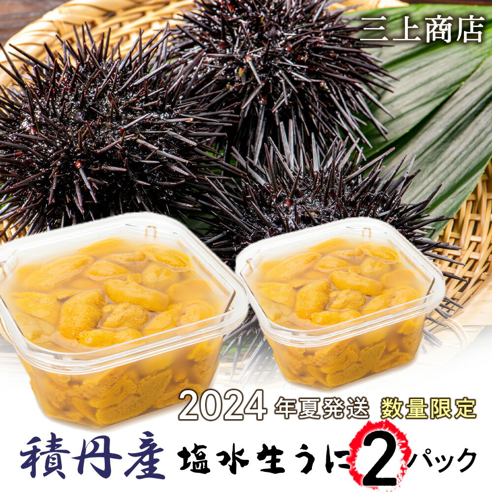 2024年予約受付中！≪2024年夏発送分≫ 数量限定！積丹産 塩水生うに2パック【三上商店】北海道ふるさと納税 積丹町 ふるさと納税 海鮮 北海道 むらさきうに 塩水 ムラサキウニ 海鮮 うに 生うに 北海道 うに 雲丹 通販 ギフト ウニ 贈答品 贈り物