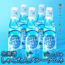  積丹ブルーラムネ北海道ふるさと納税 積丹町 ふるさと納税 北海道 飲料 炭酸 瓶ラムネ ソフトドリンク 炭酸 ラムネ 飲料類 炭酸飲料 ミント 通販 ギフト 贈答品 贈り物