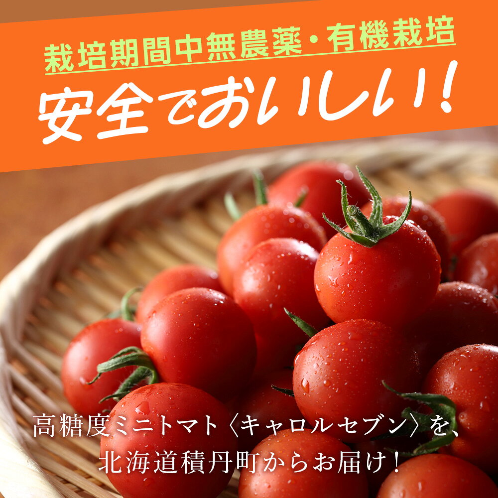 【ふるさと納税】先行受付〈100％有機肥料使用〉積丹産ミニトマト「キャロル7」たっぷり1kg北海道ふるさと納税 積丹町 ふるさと納税 北海道 国産 野菜 ミニトマト キャロルセブン 有機 無農薬 トマト