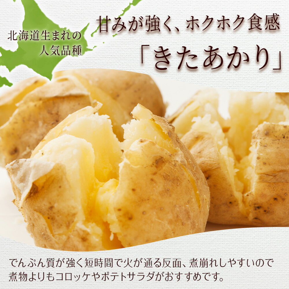 【ふるさと納税】【2026年秋頃出荷】じゃがいも＆かぼちゃ野菜セット（じゃがいも5kg＆かぼちゃ5球×2個） 有機質100％肥料 天ぷら きたあかり 南瓜 くりゆたか7北海道ふるさと納税 積丹町 ふるさと納税 北海道 野菜 減農薬 通販 ギフト 贈答品 贈り物【沖縄配送不可】