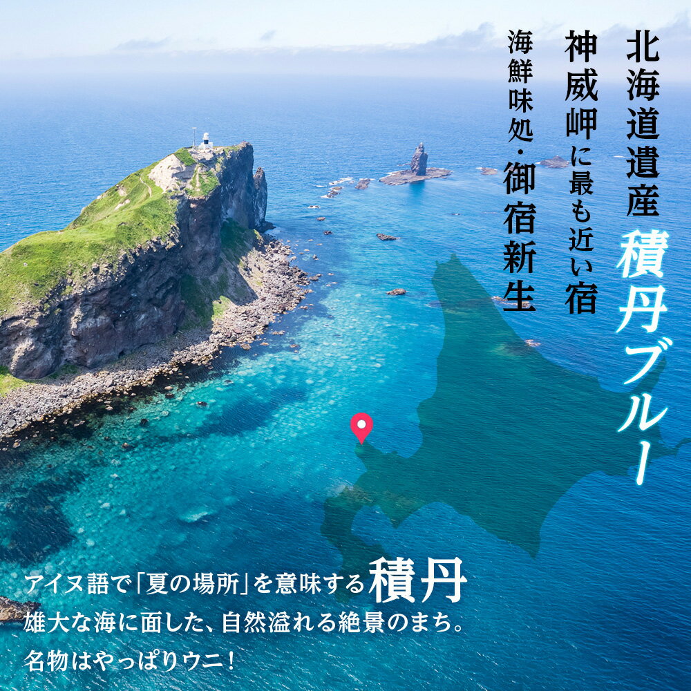 【ふるさと納税】海鮮味処御宿新生 利用券 3,000円分 北海道ふるさと納税 積丹町 ふるさと納税 お食事券 チケット 食事 宿泊 利用券 クーポン