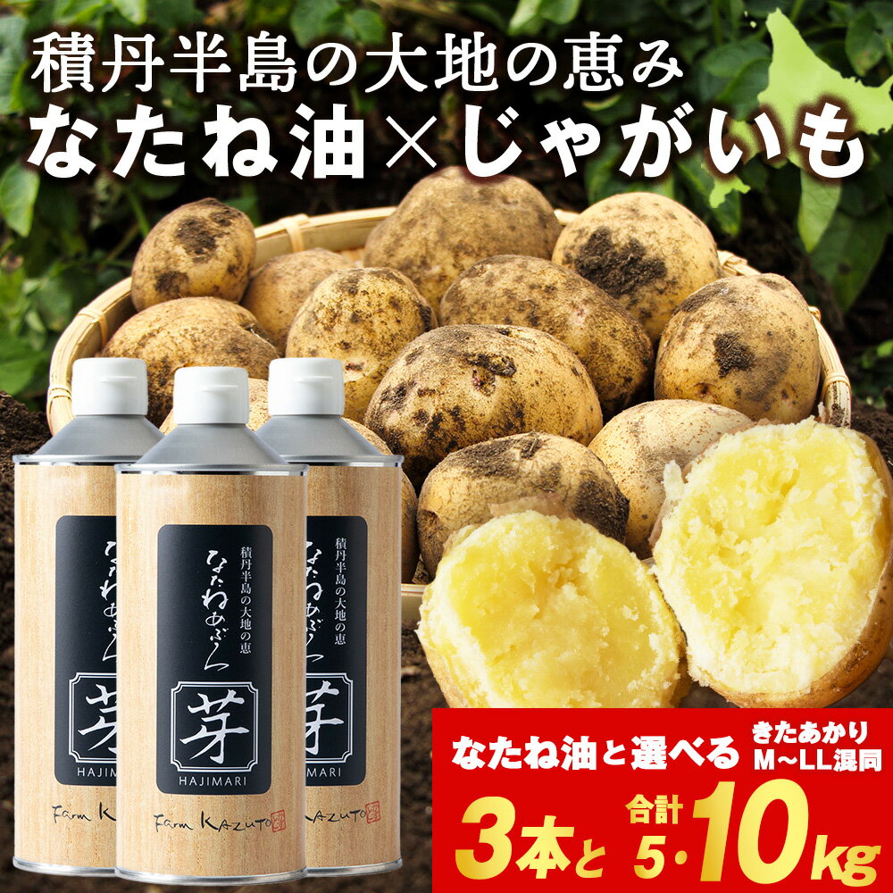 [2025年秋発送予約]なたねあぶら 芽(はじまり)添加物不使用 (600g3本) × 積丹町産 きたあかり 選べる5kg・10kg セット北海道ふるさと納税 積丹町 ふるさと納税 北海道 菜種油 なたね油 油 無添加 調味料 野菜 じゃがいも ギフト 贈答品 贈り物