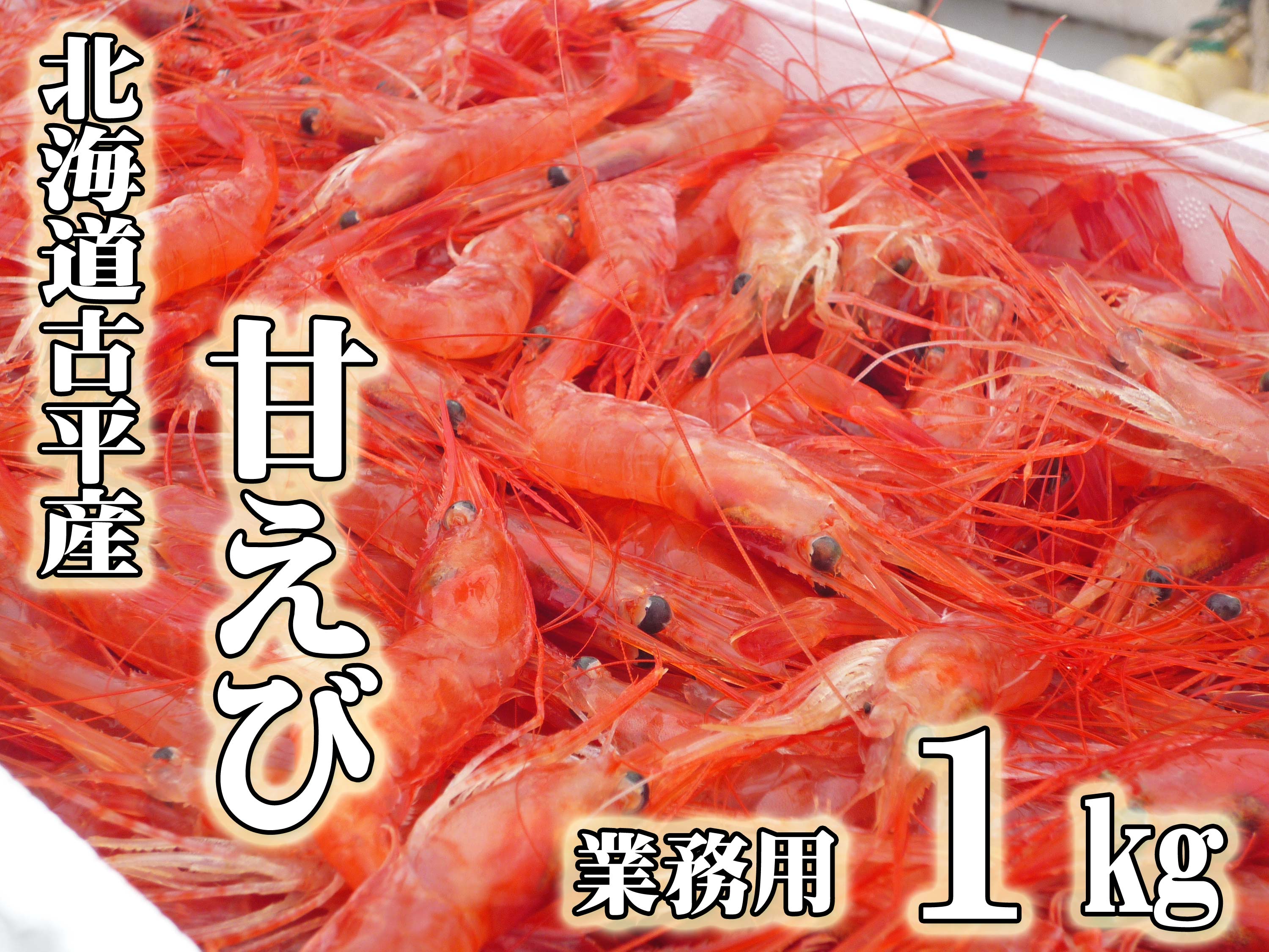 [業務用]北海道古平産 漁師直送! 甘えび 1kg