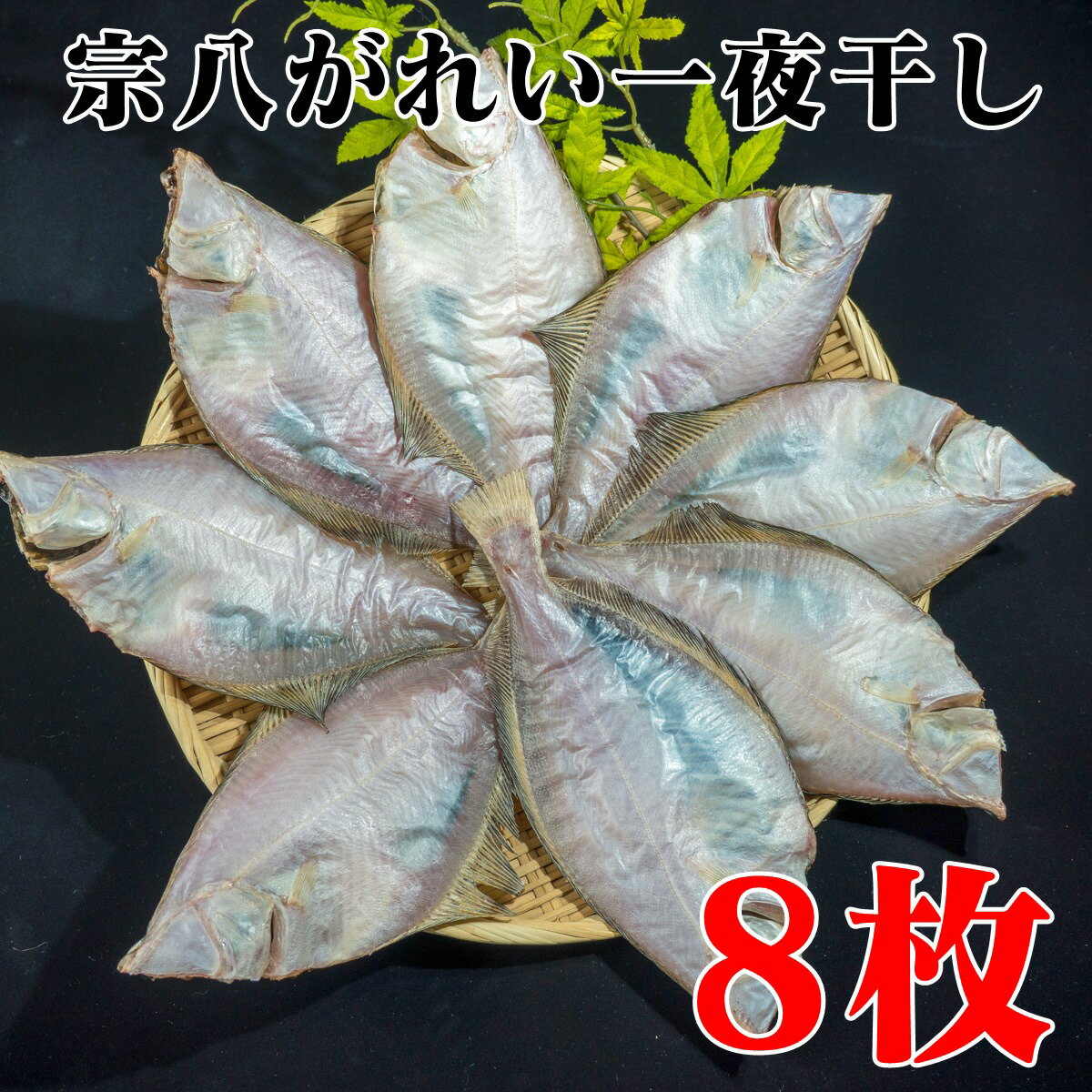 1位! 口コミ数「1件」評価「4」北海道産 宗八がれい （中） 一夜干し 8枚 【 かれい カレイ 海鮮 魚介類 魚介 魚貝 魚卵 業務用 家庭用 贈答用 人気 ランキング ･･･ 