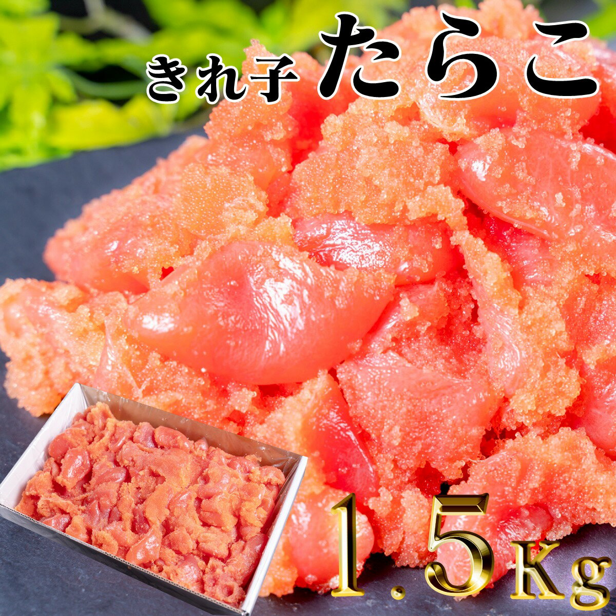 ڤդ뤵Ǽǡۤ餳 Ф ɡ 1.5kg  餳 饳       ̳  £ ͵ 󥭥 ̳ƻ ̳ƻ  ϤΤ   