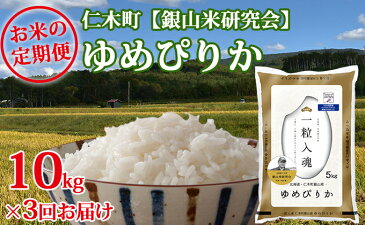 【ふるさと納税】3ヶ月連続お届け【ANA機内食に採用】銀山米研究会のお米<ゆめぴりか>10kg 【定期便・米・お米・ゆめぴりか】