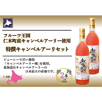 【ふるさと納税】北海道 おたる特選キャンベルアーリ ロゼワイン 2本 セット おたる醸造 仁木町 720ml フルーティー 日本ワイン 酒 お酒 甘口 家飲み 記念日 誕生日 生葡萄酒 果実酒 ご当地ワイン フルーツ　【お酒・ワイン・ロゼワイン】