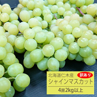 【訳あり4房】松山商店シャインマスカット 2kg以上(北海道仁木町産) 【果物・ぶどう・フルーツ・果物類・ブドウ・マスカット・シャインマスカット・2kg以上】 お届け:2022年10月中旬〜末日