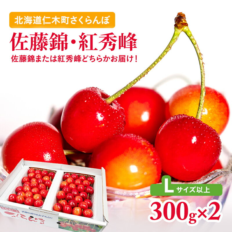 先行予約 ≪くだものの笠井園≫さくらんぼ（Lサイズ以上）300g×2　　お届け：2024年6月下旬～2024年7月下旬まで