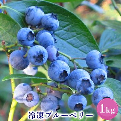 【ふるさと納税】北海道 仁木町産 ブルーベリー 冷凍 1kg