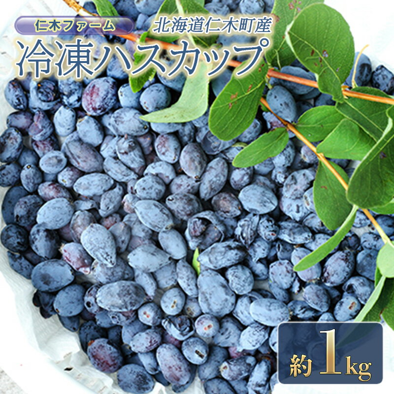 北海道 仁木町産 冷凍 ハスカップ 約1kg 仁木ファーム [果物類・冷凍フルーツ]