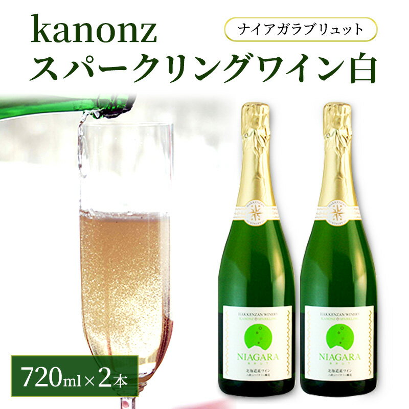 43位! 口コミ数「0件」評価「0」kanonzスパークリングワイン白720ml×2本　【お酒・シャンパン・スパークリングワイン・ワインセット】