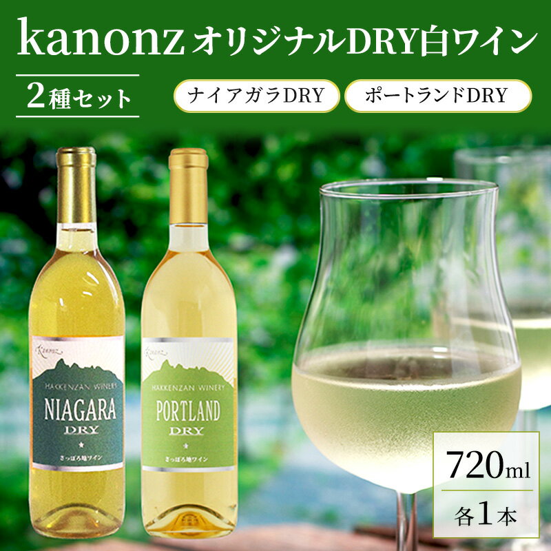 kanonzオリジナルDRY白ワイン2種セット 720ml各1本ずつ お酒 アルコール ワインセット ワイン 飲み比べ ぶどう ブドウ 辛口 ご褒美 お祝 記念日 [株式会社八剣山さっぽろ地ワイン研究所]