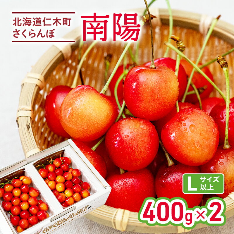 仁木 さくらんぼ 南陽 400g×2 [果物類・フルーツ・さくらんぼ・サクランボ・チェリー] お届け:2024年6月末〜7月中旬