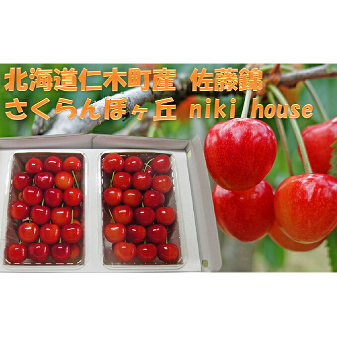 【ふるさと納税】さくらんぼ 先行予約 佐藤錦 農園厳選 サクランボ Lサイズ以上 600g 品質：ギフト向け 秀 フルーツ チェリー 果物 ギフト 贈答品 北海道 仁木町 仁木 お取り寄せ 2023年産　【 果物類 】　お届け：2023年7月5日〜20日頃のサムネイル